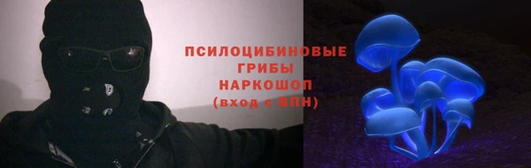 трава Армянск