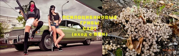 PSILOCYBIN Арсеньев